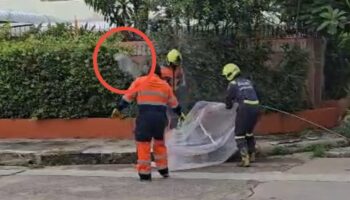 Пчелиный рой ужалил таксиста в Нонтхабури