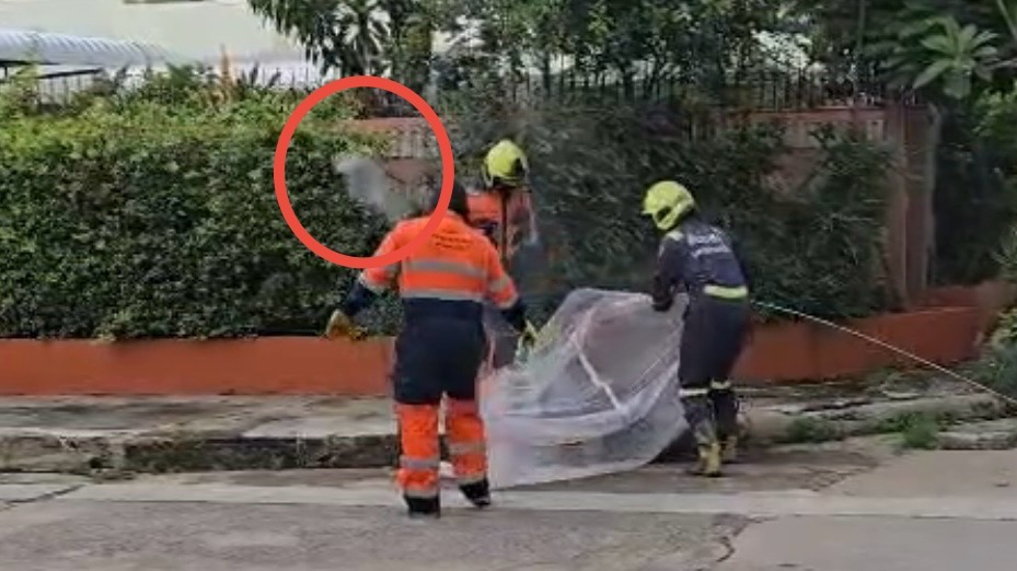 Пчелиный рой ужалил таксиста в Нонтхабури