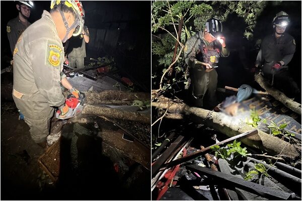 Сильный шторм в Бангкоке унес жизни людей, так как деревья разрушили жилые дома