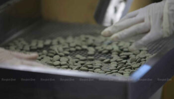 Сомсак настаивает на назначении лекарственных трав