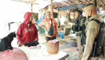 Сосед застрелил любимую кошку из страйкбольного ружья на фоне шумного спора