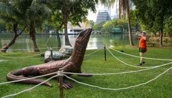 Статуя гигантского варана привлекает толпы людей в Бангкокский парк
