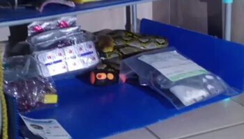 Супружеская пара из Аюттхаи обнаружила питона в спальне на третьем этаже