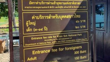 Таиланд обещает бороться с двойным ценообразованием после жалоб туристов