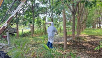 Таиланд сообщил о первом за 30 лет случае смерти от сибирской язвы, объявлено санитарное предупреждение