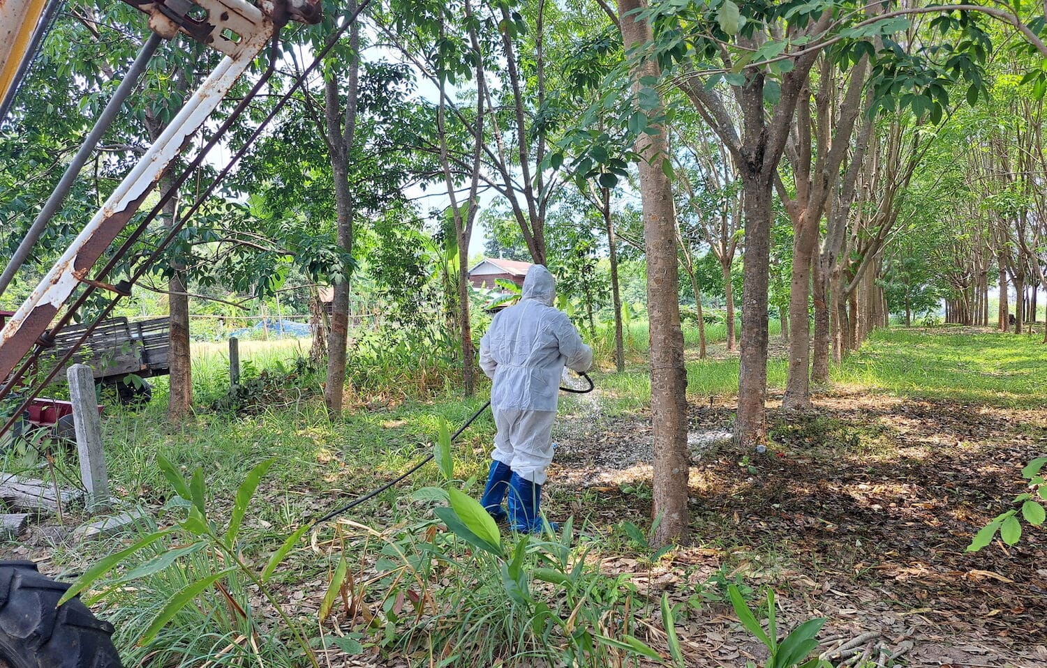 Таиланд сообщил о первом за 30 лет случае смерти от сибирской язвы, объявлено санитарное предупреждение