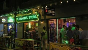 Таиланд ужесточает правила употребления каннабиса в медицинских целях: цветы отпускаются только по рецепту врача