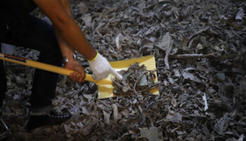 Тайские официальные лица утверждают, что изъятые электронные отходы поступили от нас