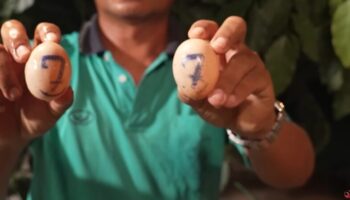 Тайский рабочий 10 раз выигрывает в лотерею, выигрывает мифическую змею