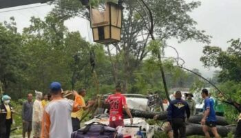 Упавшее дерево убило семейную пару в Мукдахане, дочь-подросток выжила