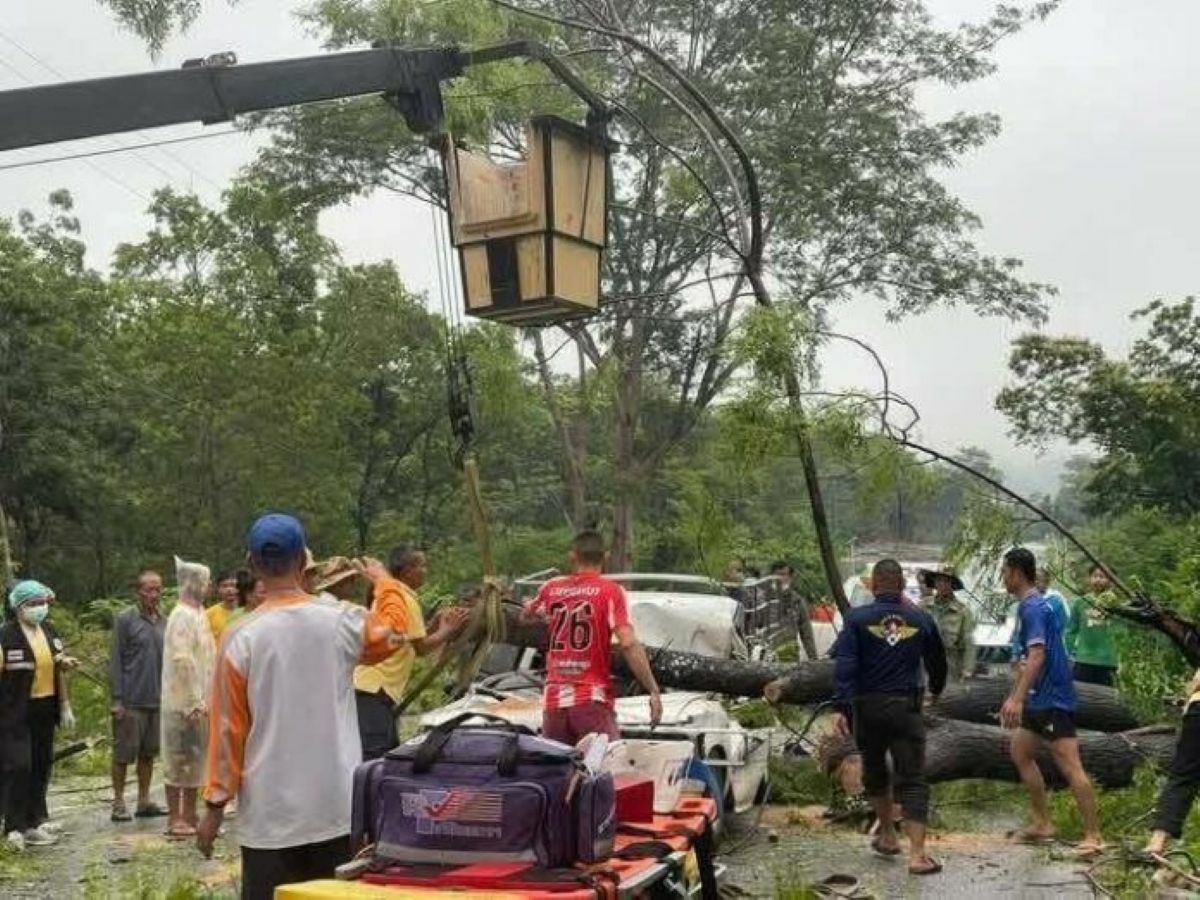 Упавшее дерево убило семейную пару в Мукдахане, дочь-подросток выжила