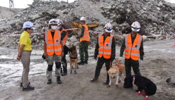 Установка К-9 для проведения окончательной зачистки участка