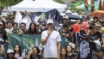 Адвокаты каннабиса в Таиланде планируют массовый митинг 7 июля