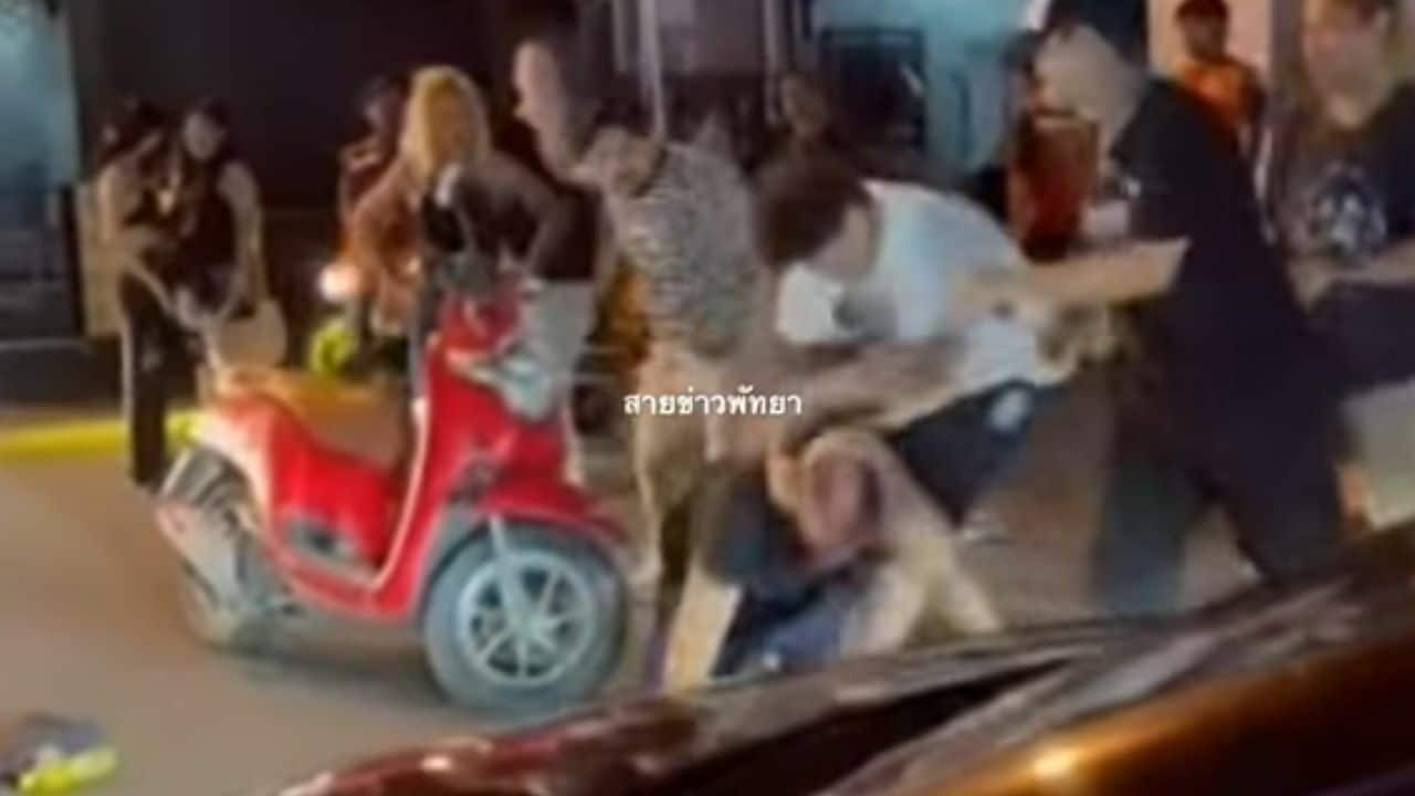 Бой возникает между шведским националом и тайцами в Паттайе