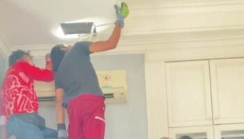 Большой водяной ящер спасен из потолка дома в Аюттхае