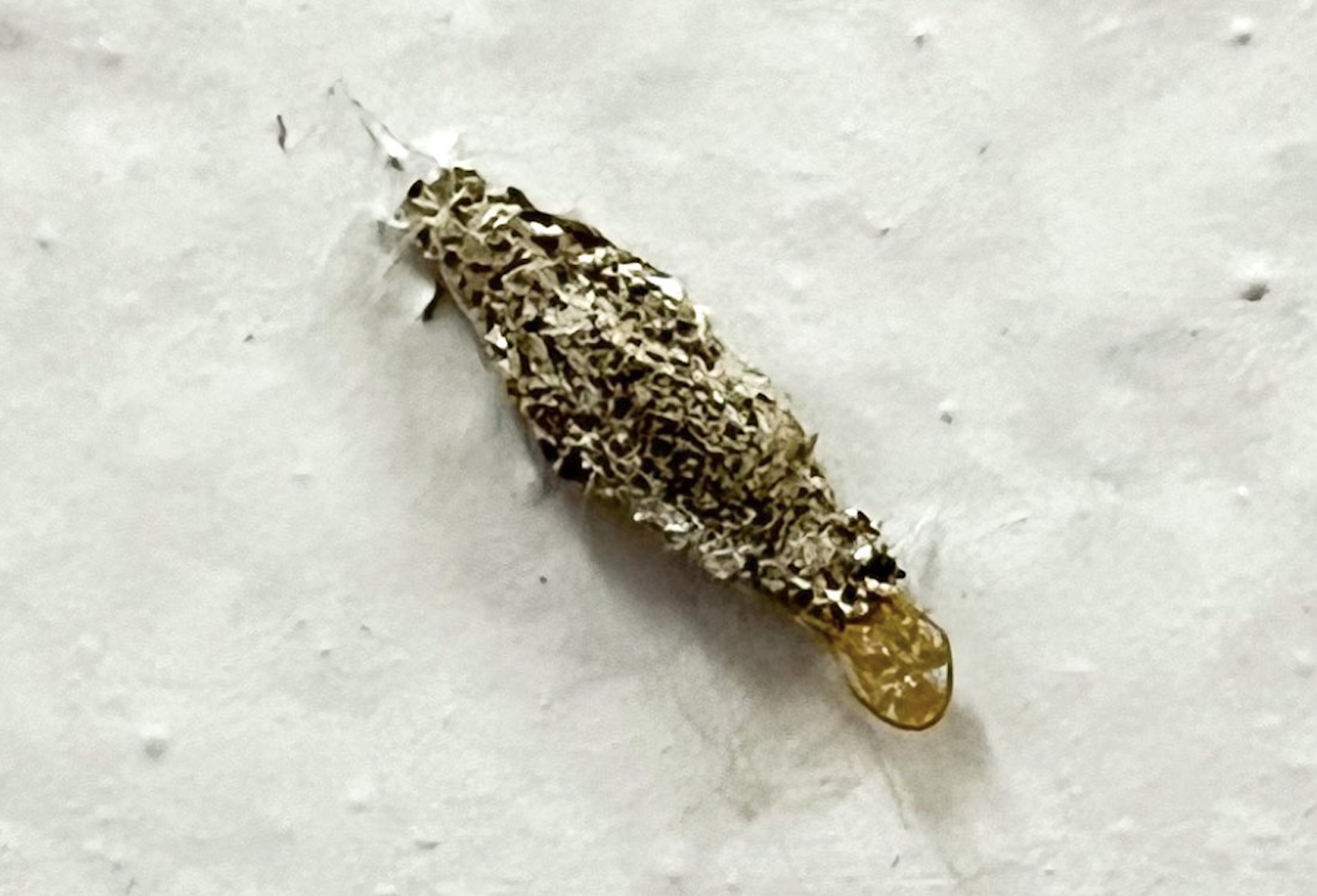 В вашей квартире установлены жучки? Это может быть почтовый червь