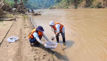 В Мьянме запрашиваются ответные меры в связи с загрязнением рек
