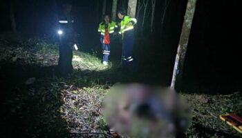 В Таиланде мужчина и его сын арестованы за убийство женщины на каучуковой плантации