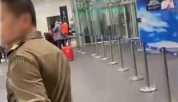 Видео китайского посетителя утверждает об "особой связи" с иммиграцией