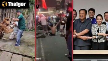 Видеоновости Таиланда | Экономические проблемы могут подорвать стабильность таиландской коалиции, Дикий слон грабит тайский магазин в поисках закусок