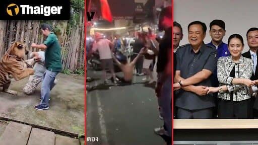 Видеоновости Таиланда | Экономические проблемы могут подорвать стабильность таиландской коалиции, Дикий слон грабит тайский магазин в поисках закусок