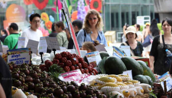 Высокие урожаи не приносят большой прибыли