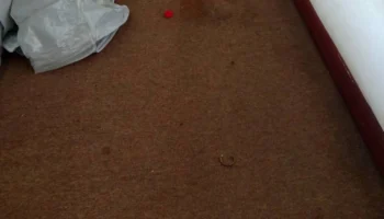 Голландца нашли мёртвым в гостиничном номере в Таиланде, полиция проводит расследование