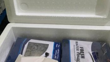 Женщина поймана на контрабанде экзотической еды из Таиланда в Австралию