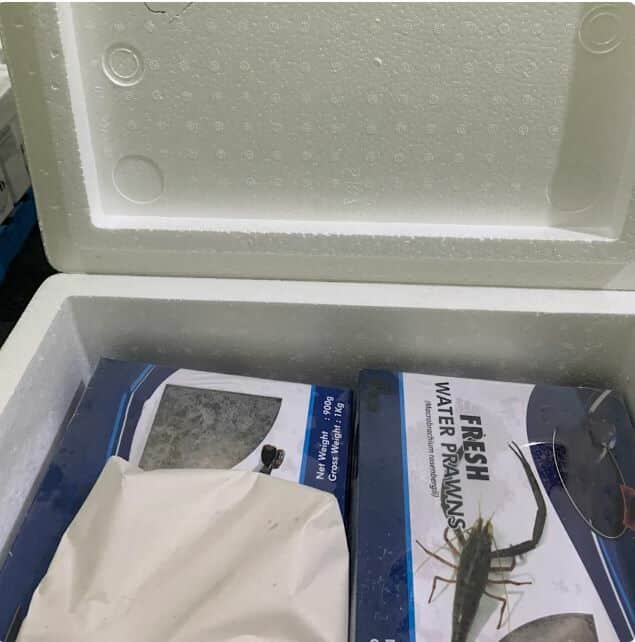 Женщина поймана на контрабанде экзотической еды из Таиланда в Австралию