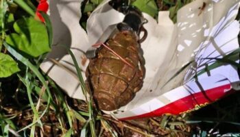 Женщину поймали с гранатой после того, как она сбежала с полицейского контрольно-пропускного пункта Лоэй