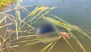 Записка, найденная на теле, рассказывает душераздирающую историю долга и лишений