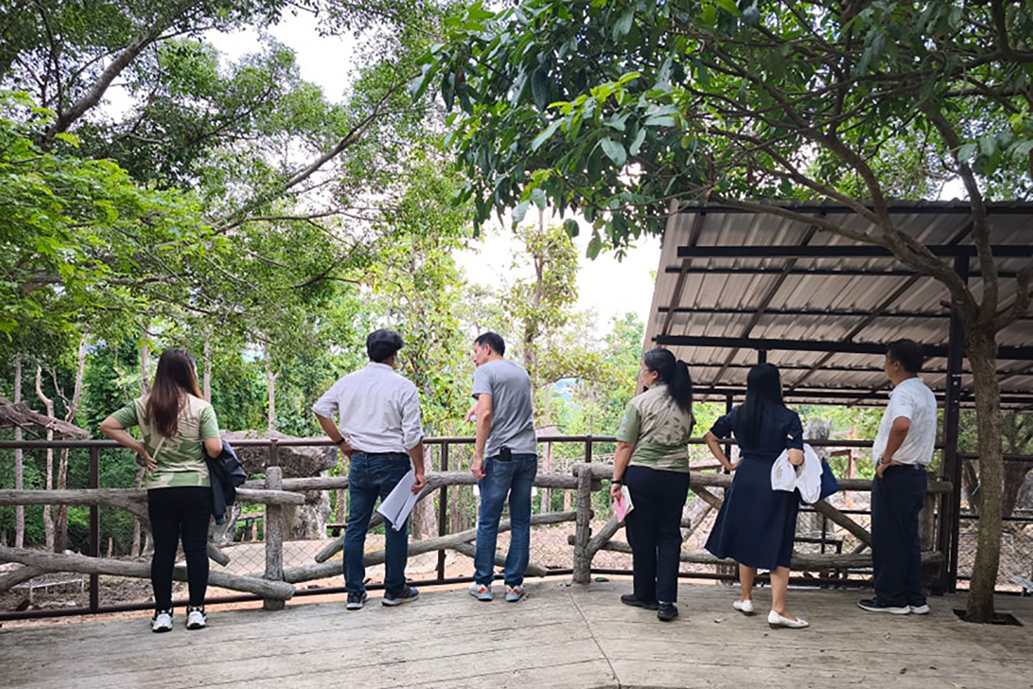 Зоопарк Чиангмая примет двух новых панд из Китая