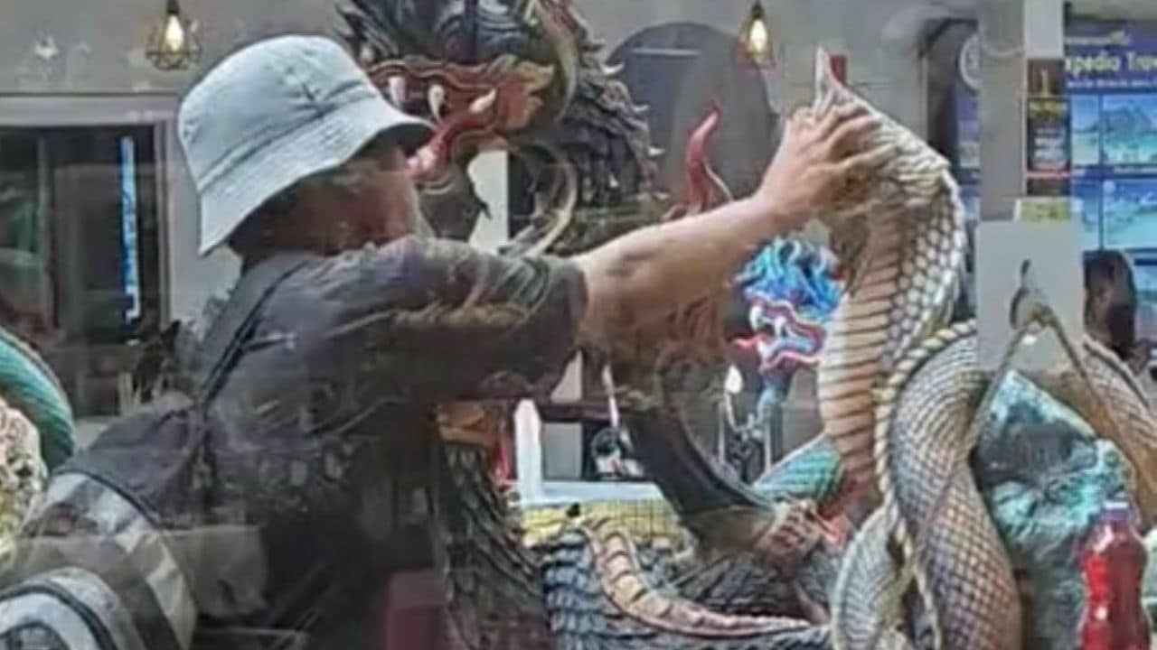 Иностранца поймали на вирусном видео, целующим статую Наги на Пхукете