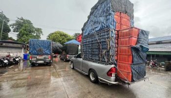 Камбоджа запрещает импорт тайских фруктов на контрольно-пропускном пункте Клонг Яй