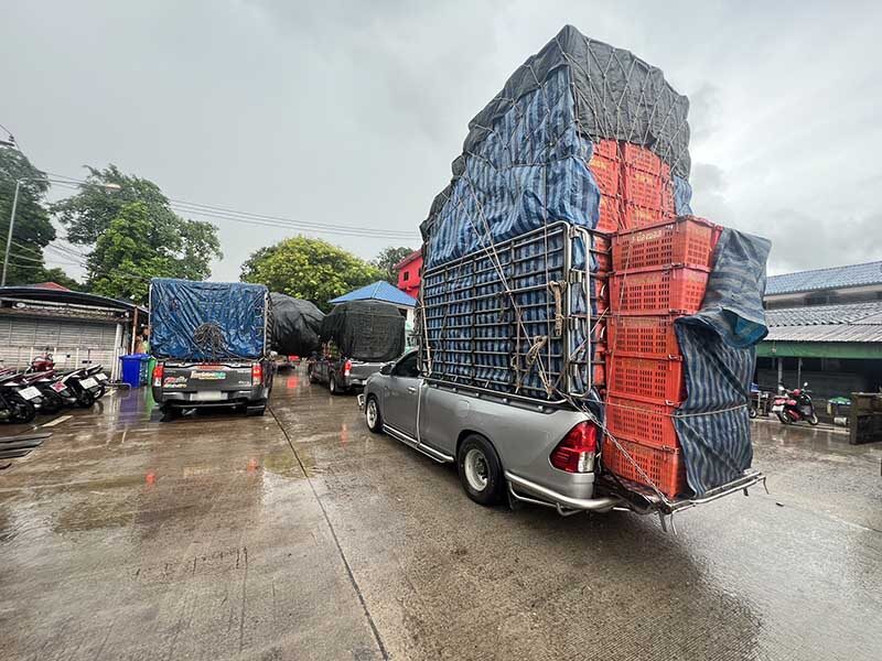 Камбоджа запрещает импорт тайских фруктов на контрольно-пропускном пункте Клонг Яй