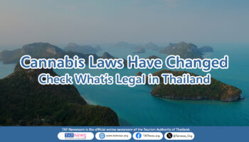 Каннабис теперь строго регулируется в Таиланде – Важное уведомление для туристов