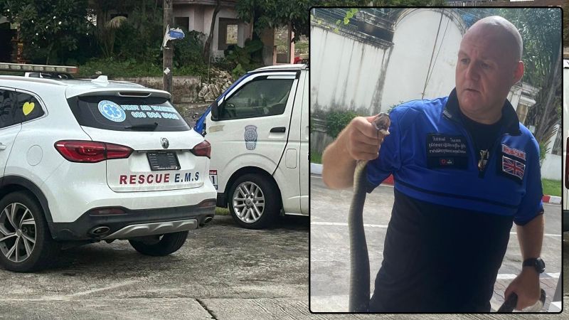 Ложную кобру поймали в Калиме