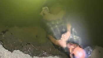 "Мертвец", плавающий в канале, быстро восстанавливается