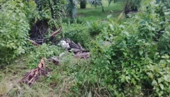 Мертвый человек с закованными руками и связанными ногами найден в Накхонси-Тамрат