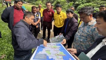 Минтранс послал на Пхукет ревизоров для ознакомления c дублерами главного шоссе