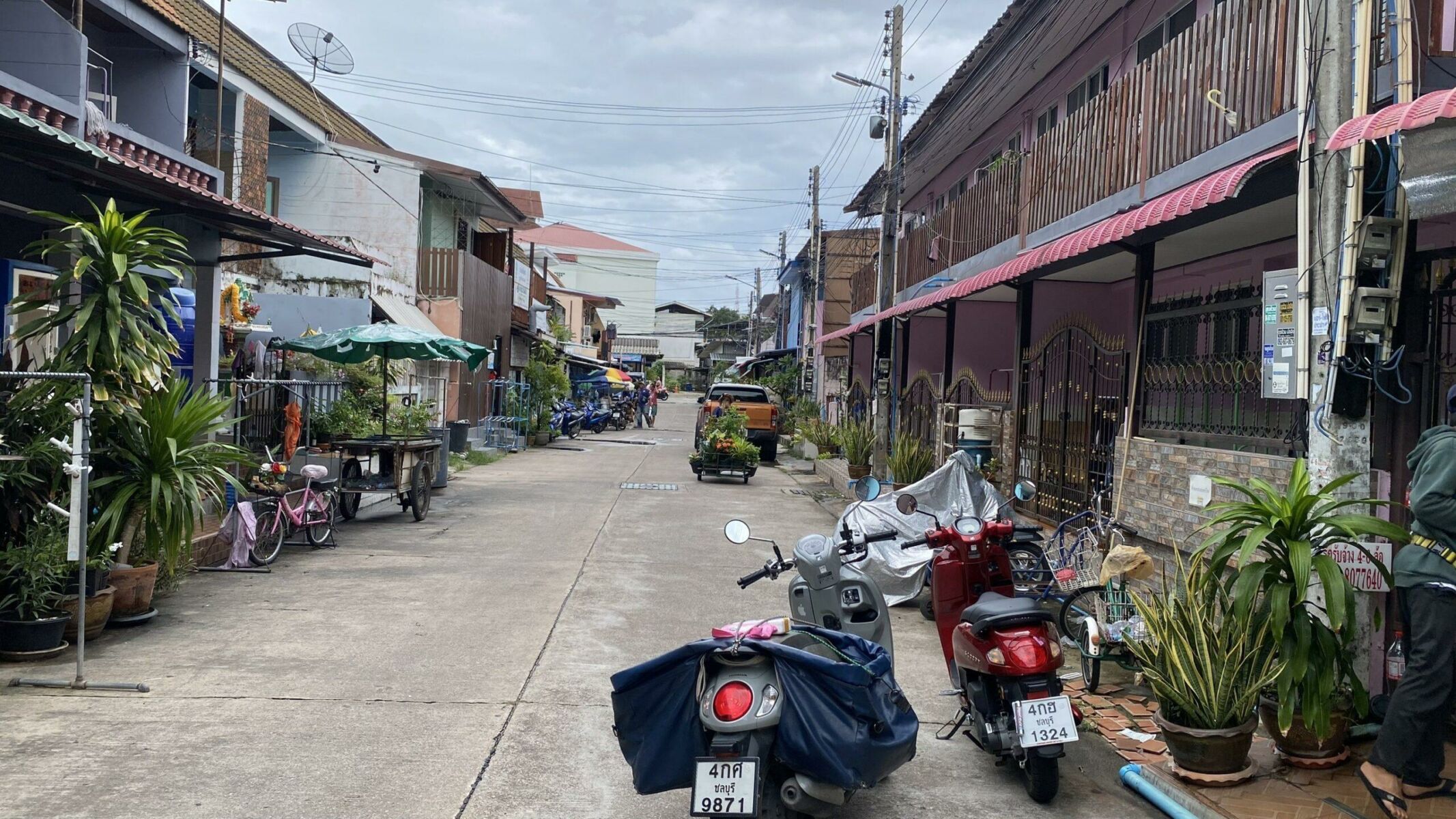 Молния из голубого: Столкновение с ножевым преступником вызывает конфликт сои в Паттайе