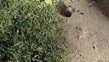 Мужчина найден мертвым с травмами головы в Самут-Саконе