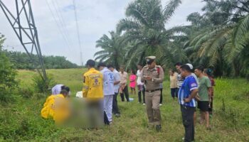 Мужчина погиб от удара электрическим током, взбираясь на башню на юге Таиланда