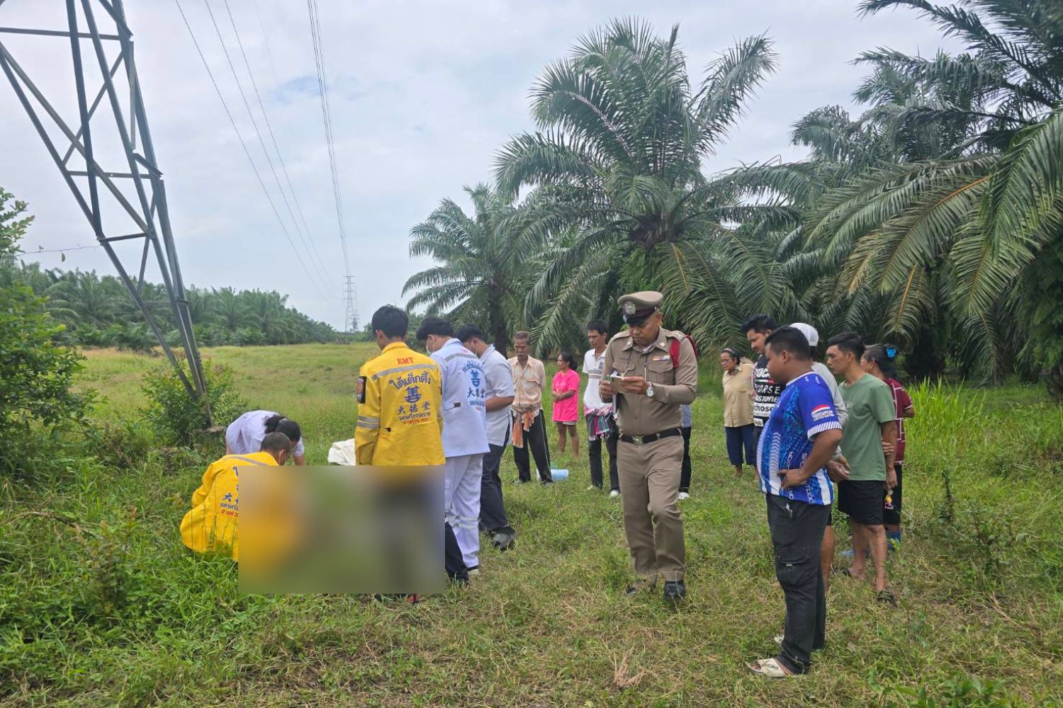Мужчину убило электрическим током на опоре ЛЭП