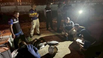 Незаконно пойманный белый морской окунь стоимостью 600,000 бат изъят в Наратхивате