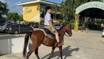 Нехорошие комментаторы: Тайский мальчик идет к школьной славе