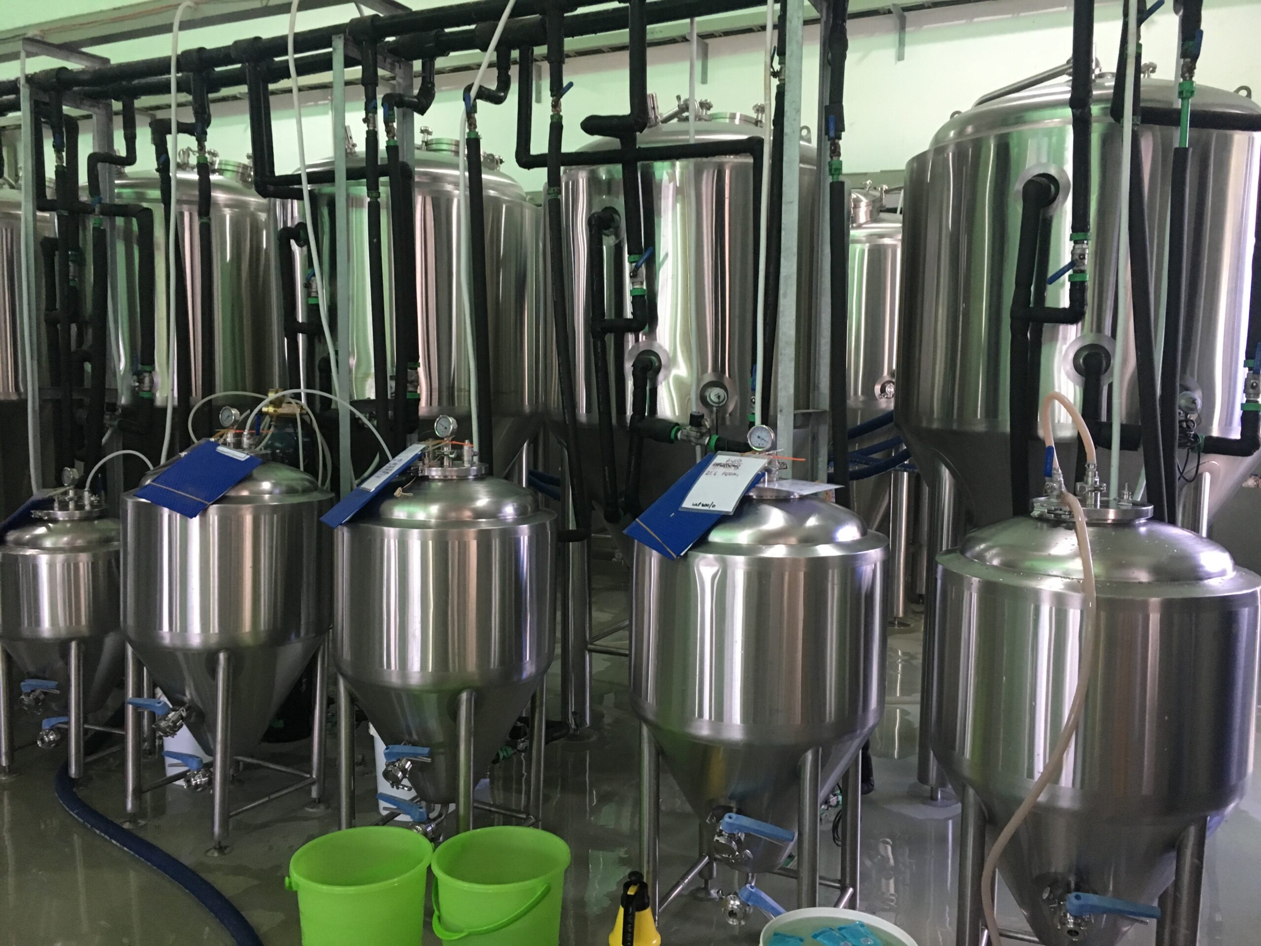 Новый закон поддерживает местных производителей спиртного