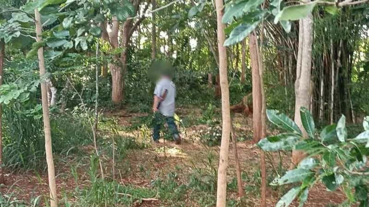 Официальные лица по охране дикой природы будут преследовать преступника, расстрелявшего раненого слона в Кхао Яй.