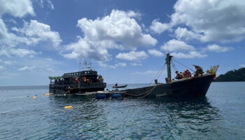 Парк Пхукет оценивает кораллы после того, как в Мьянме затонул корабль