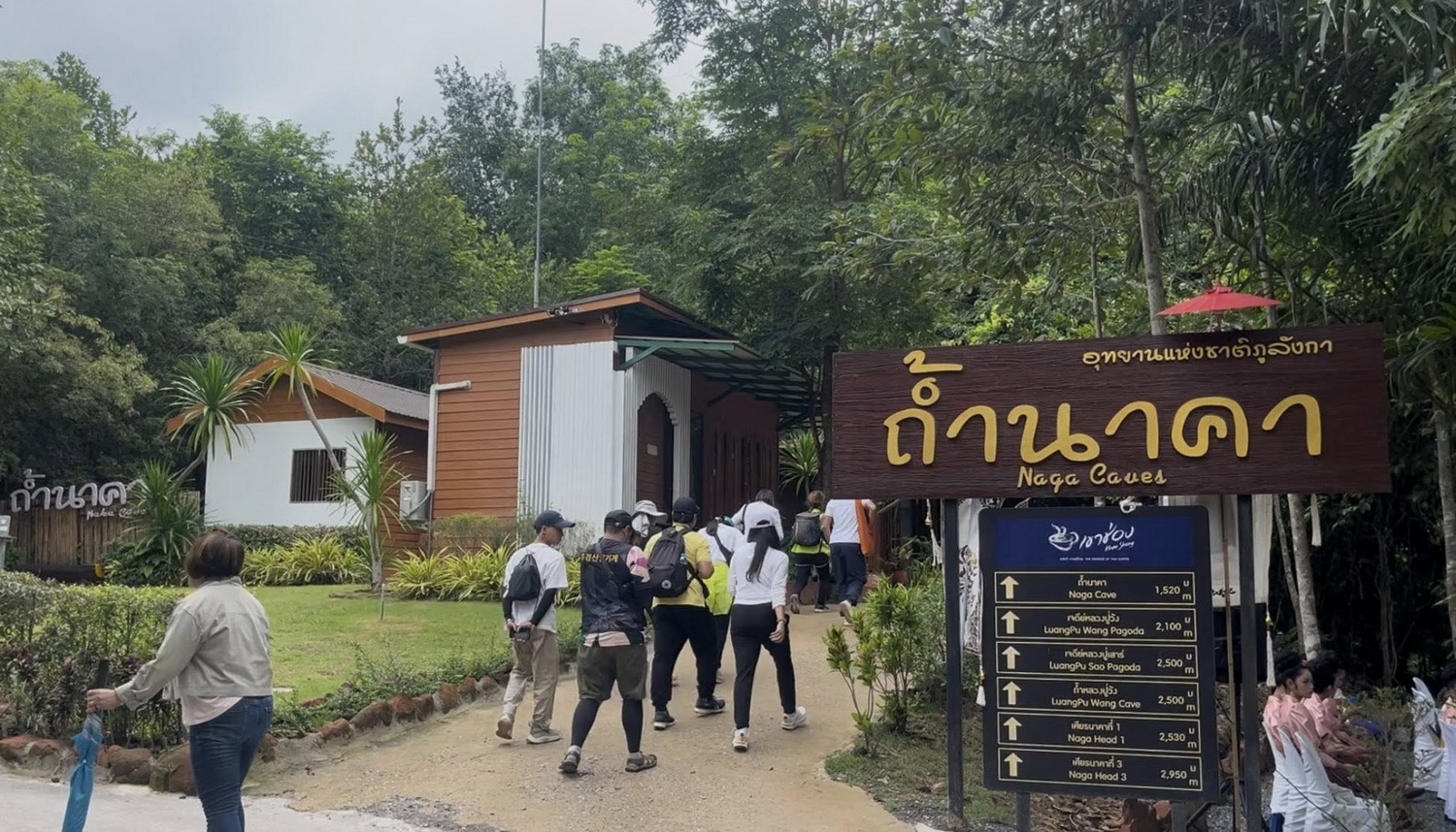 Парк Фу Лангка повышает лимит ежедневных посещений пещеры Нака